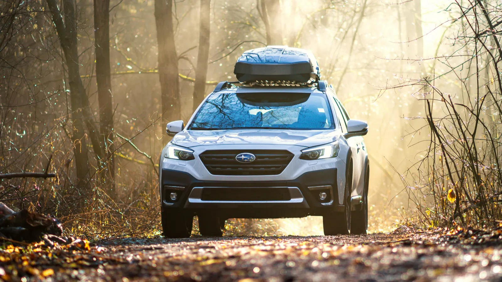 White Subaru Outback