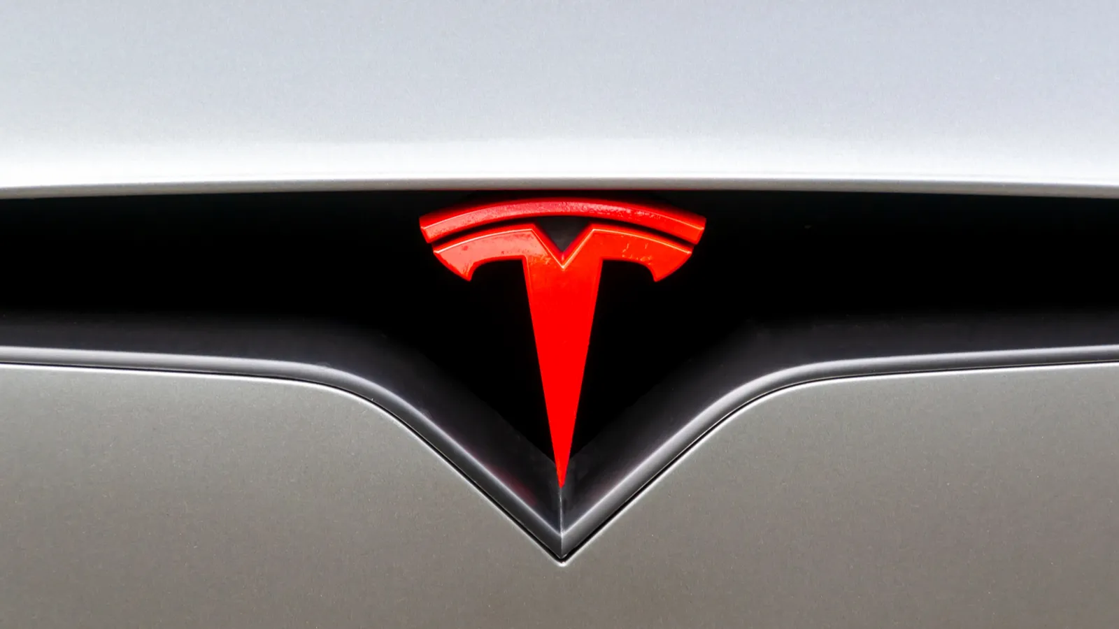 Tesla motors logo on olena