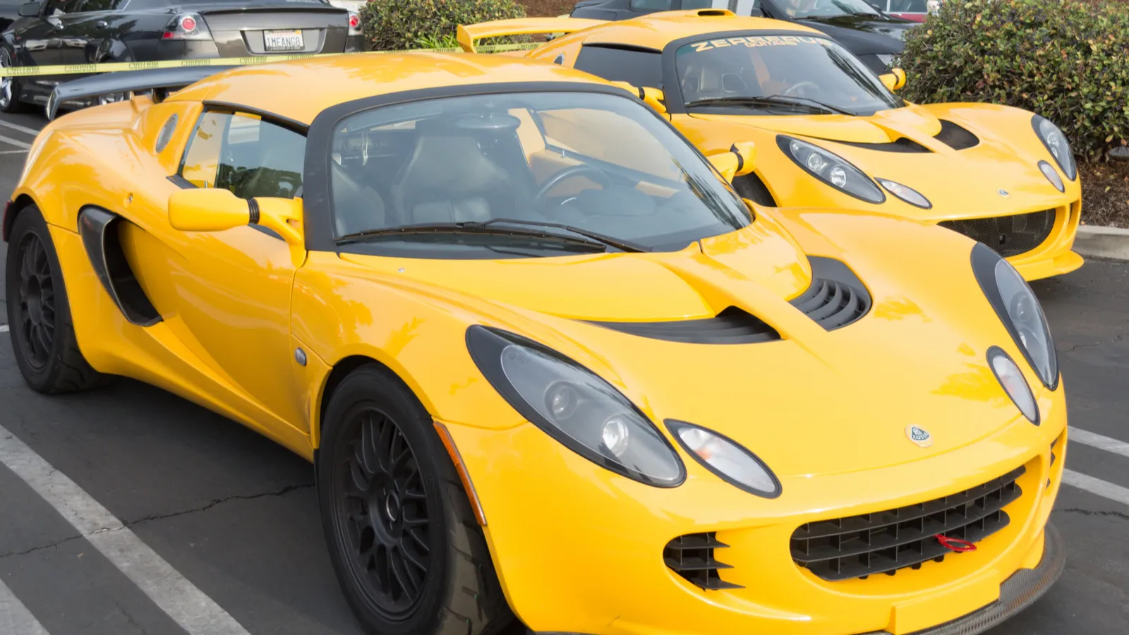 Lotus Elise on display