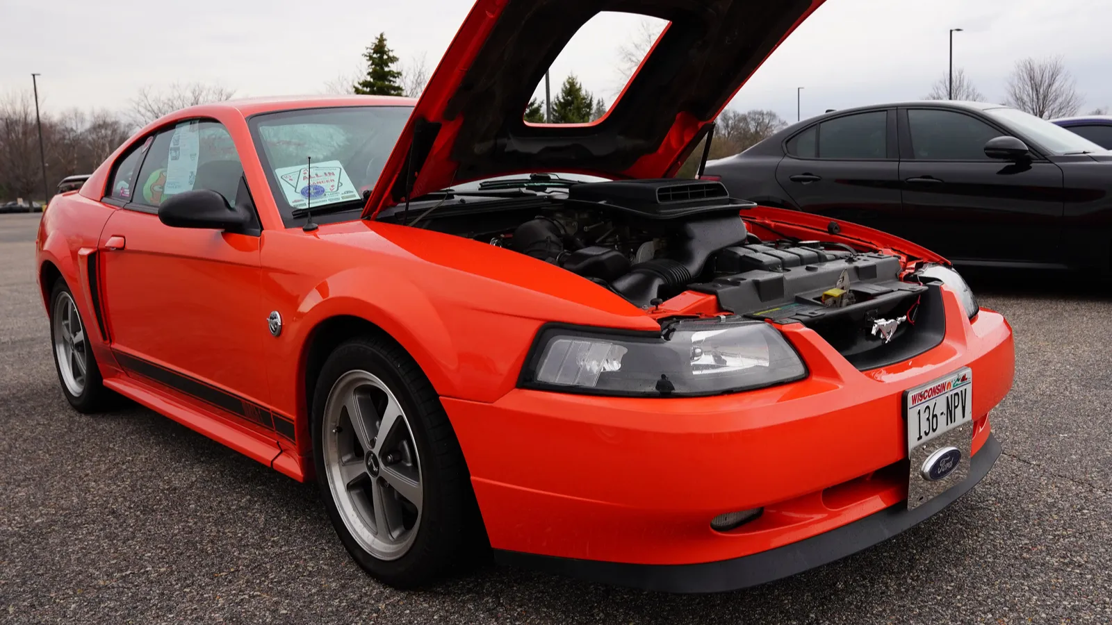 Ford mustang svt cobra