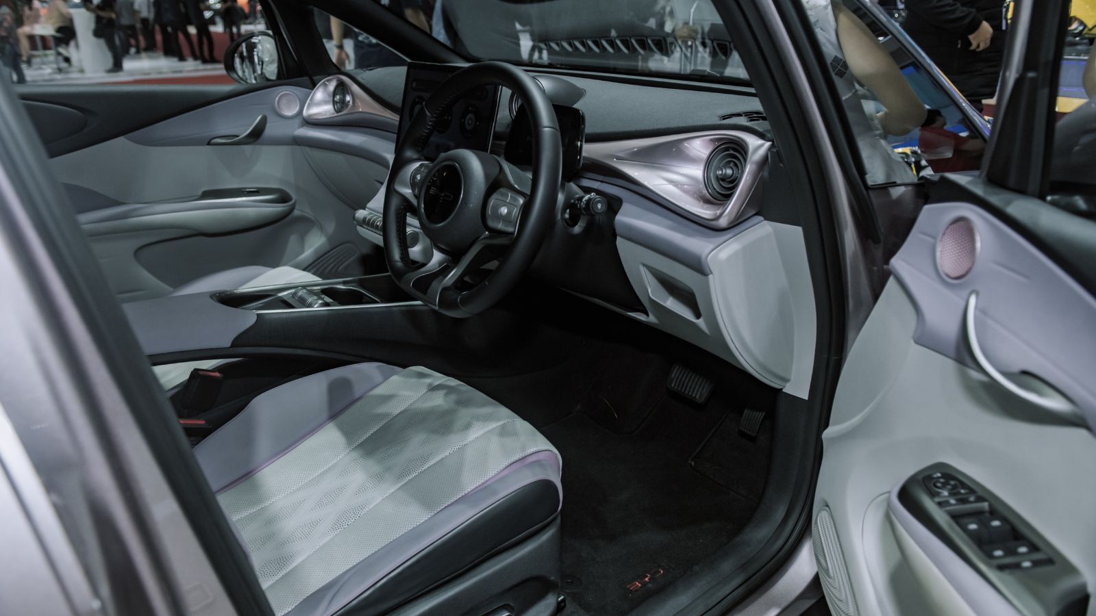 BYD dolphin interior